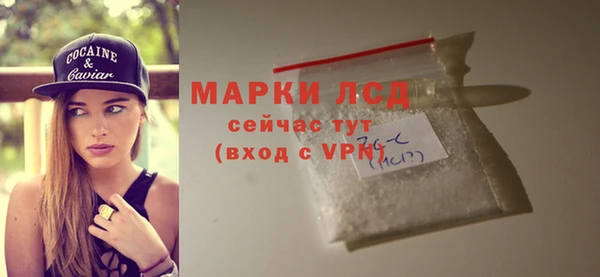 винт Алзамай