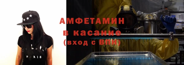гашик Алексин