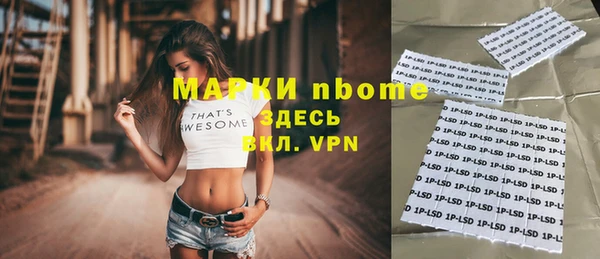 гашик Алексин