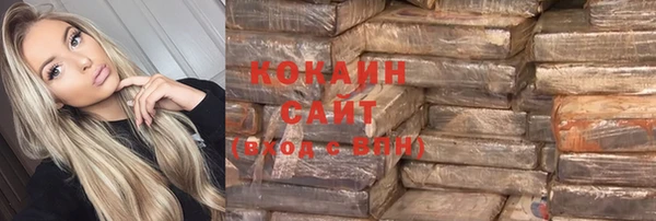 гашик Алексин