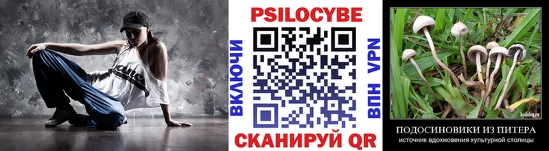 Галлюциногенные грибы прущие грибы  Снежногорск 