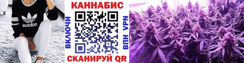 цены наркотик Снежногорск Конопля OG Kush
